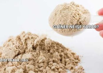 Gainer Ne İşe Yarar?
