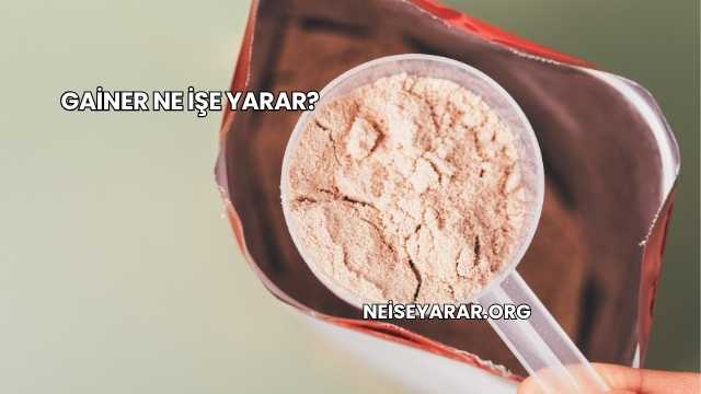 Gainer Ne İşe Yarar?