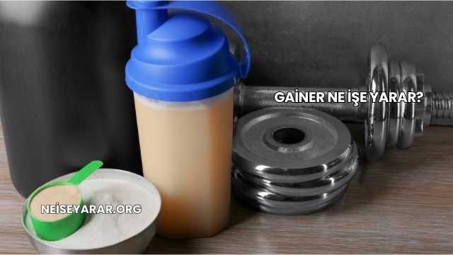 Gainer Ne İşe Yarar?