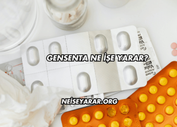 Gensenta Ne İşe Yarar?