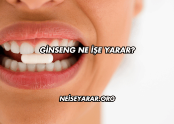 Ginseng Ne İşe Yarar?