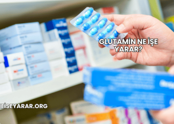 Glutamin Ne İşe Yarar?