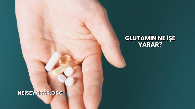 Glutamin Ne İşe Yarar?