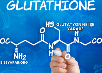 Glutatyon Ne İşe Yarar?