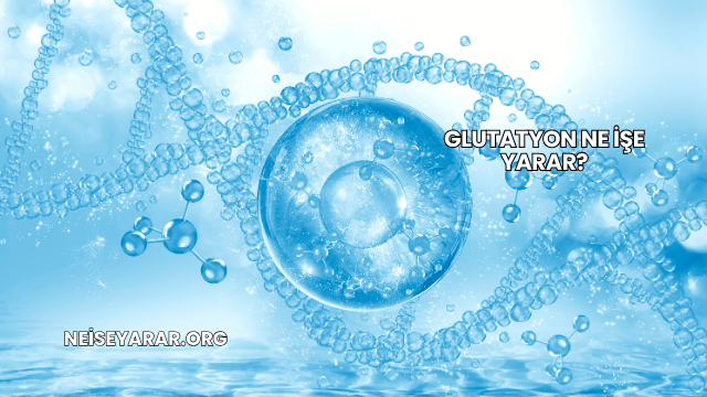 Glutatyon Ne İşe Yarar?