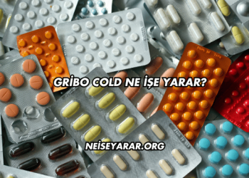 Gribo Cold Ne İşe Yarar?