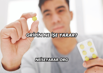 Gripin Ne İşe Yarar?