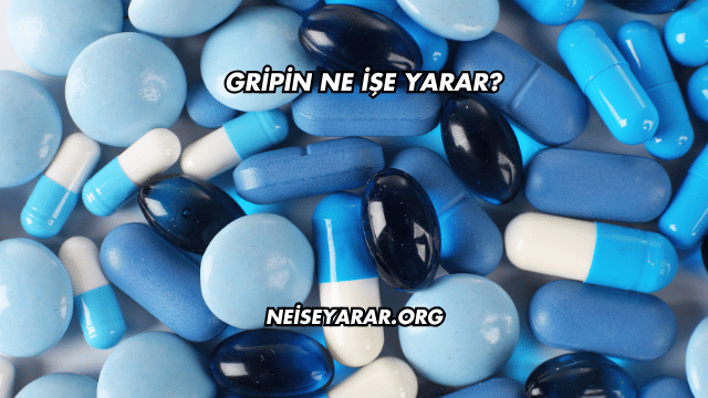 Gripin Ne İşe Yarar?
