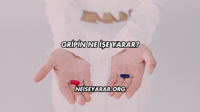 Gripin Ne İşe Yarar?