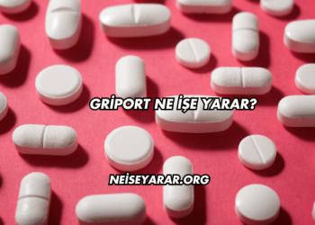 Griport Ne İşe Yarar?