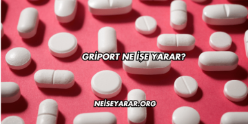 Griport Ne İşe Yarar?