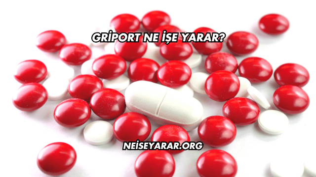 Griport Ne İşe Yarar?