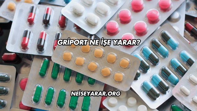 Griport Ne İşe Yarar?