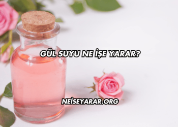 Gül Suyu Ne İşe Yarar?