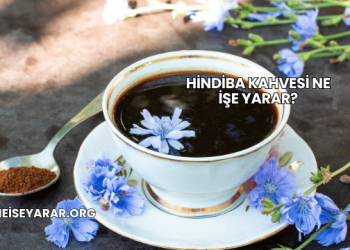 Hindiba Kahvesi Ne İşe Yarar?