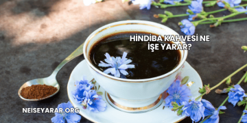 Hindiba Kahvesi Ne İşe Yarar?