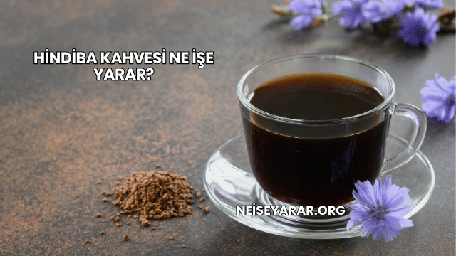 Hindiba Kahvesi Ne İşe Yarar?
