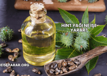 Hint Yağı Ne İşe Yarar?