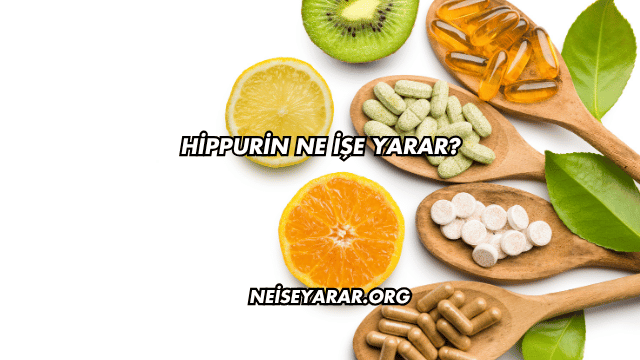 Hippurin Ne İşe Yarar?