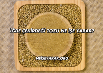İğde Çekirdeği Tozu Ne İşe Yarar?