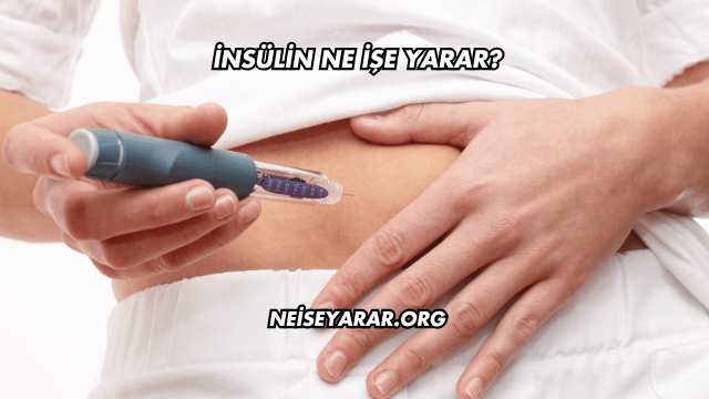 İnsülin Ne İşe Yarar?