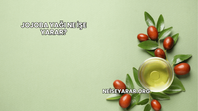 Jojoba Yağı Ne İşe Yarar?