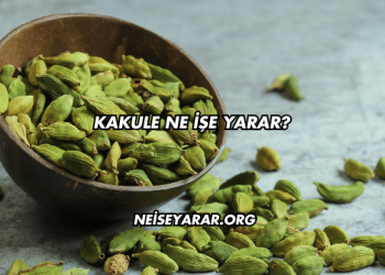 Kakule Ne İşe Yarar?