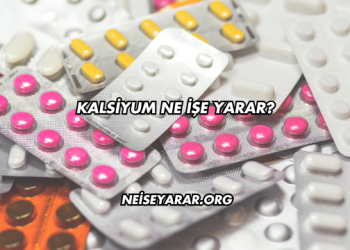 Kalsiyum Ne İşe Yarar?