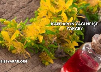 Kantaron Yağı Ne İşe Yarar?