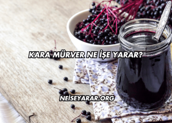 Kara Mürver Ne İşe Yarar?