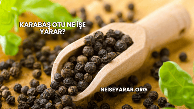 Karabaş Otu Ne İşe Yarar?