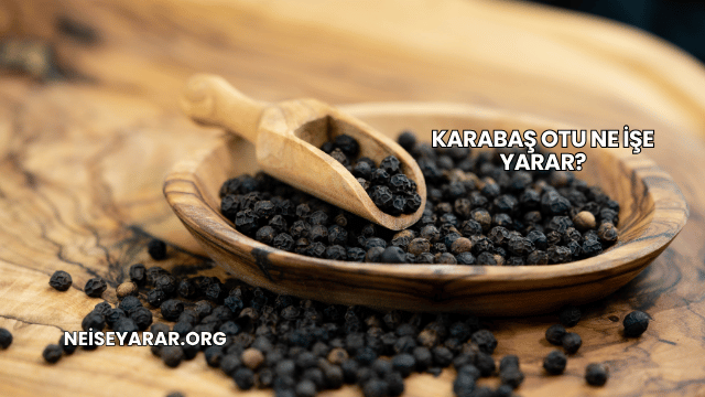 Karabaş Otu Ne İşe Yarar?