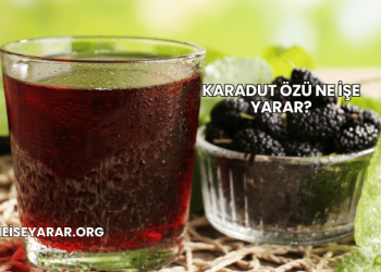 Karadut Özü Ne İşe Yarar?