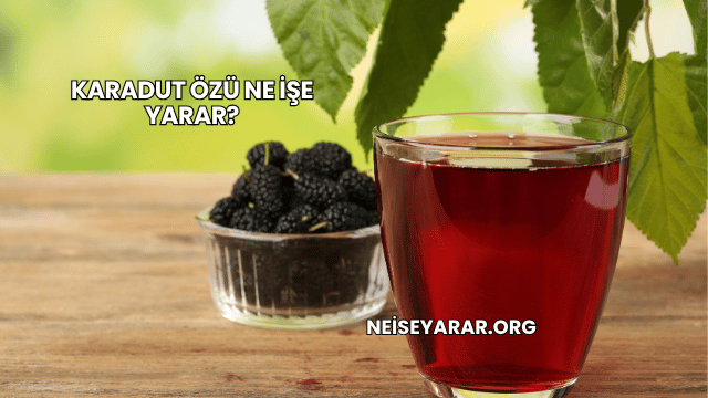 Karadut Özü Ne İşe Yarar?
