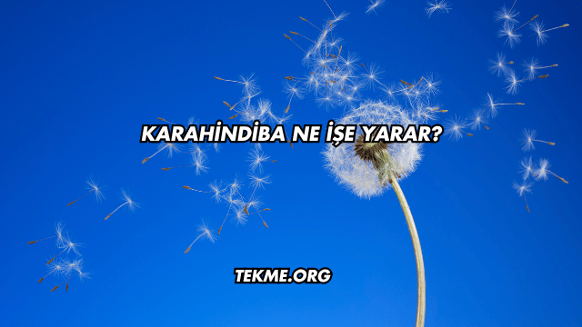 Karahindiba Ne İşe Yarar?