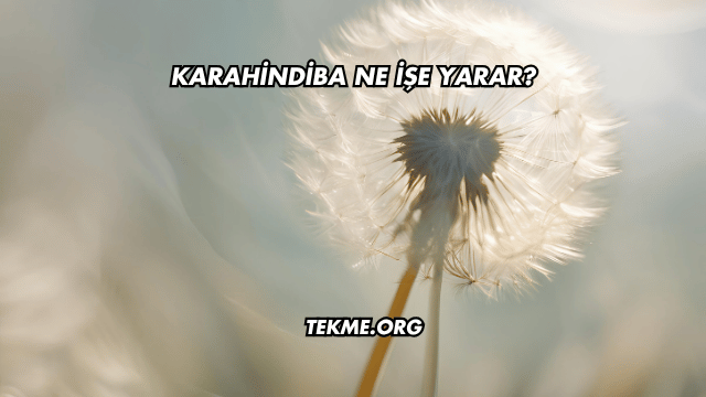 Karahindiba Ne İşe Yarar?
