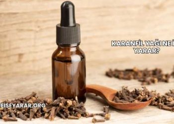 Karanfil Yağı Ne İşe Yarar?