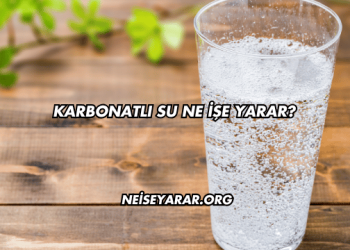 Karbonatlı Su Ne İşe Yarar?