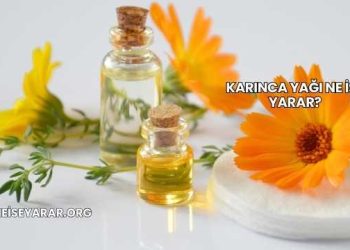 Karınca Yağı Ne İşe Yarar?