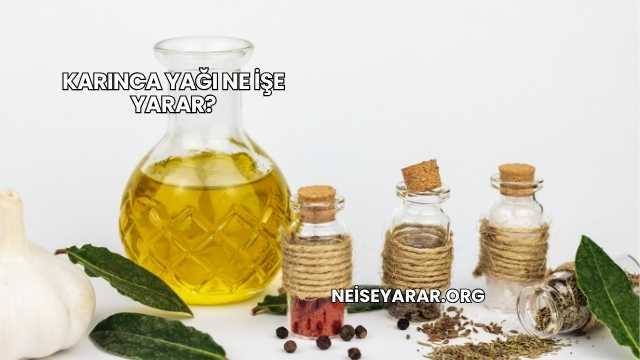 Karınca Yağı Ne İşe Yarar?