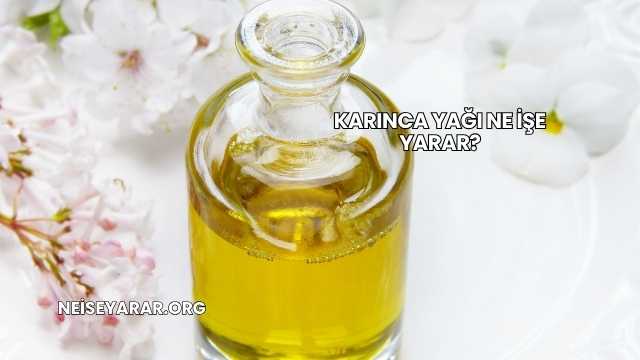 Karınca Yağı Ne İşe Yarar?
