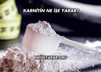 Karnitin Ne İşe Yarar?