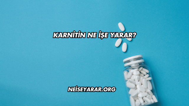 Karnitin Ne İşe Yarar?
