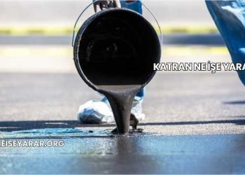 Katran Ne İşe Yarar?