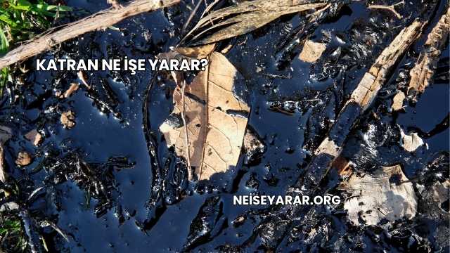 Katran Ne İşe Yarar?
