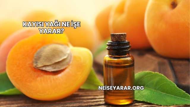 Kayısı Yağı Ne İşe Yarar?