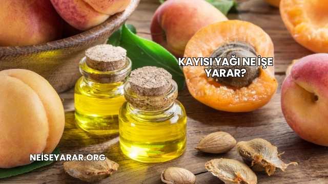 Kayısı Yağı Ne İşe Yarar?