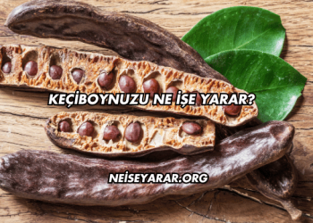 Keçiboynuzu Ne İşe Yarar?