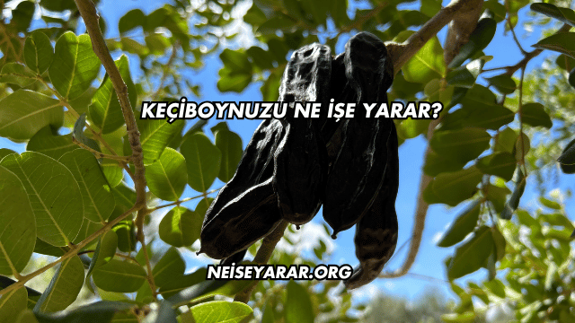 Keçiboynuzu Ne İşe Yarar?