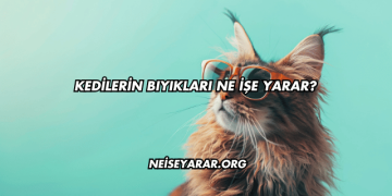 Kedilerin Bıyıkları Ne İşe Yarar?